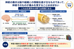 神経は痛まない