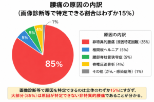 腰痛の原因の間違い
