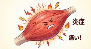 筋肉の炎症
