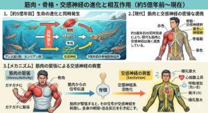 脊椎動物誕生