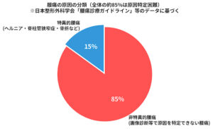 腰痛の原因