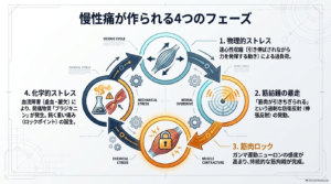 慢性痛のループ