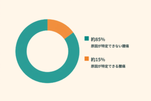 腰痛の原因の85%は医学的には不明